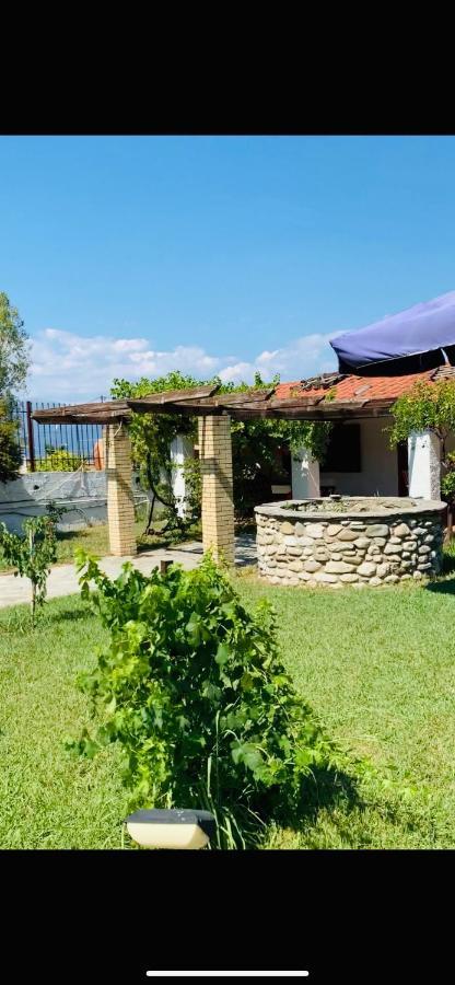 Village Dimopoulos Rodhodhafni Экстерьер фото