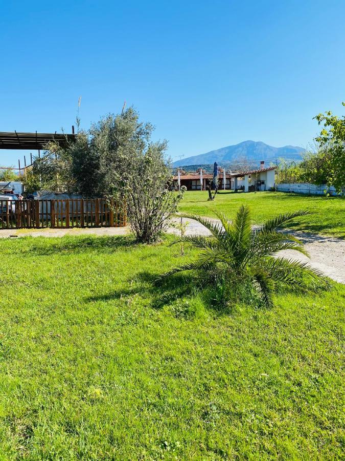 Village Dimopoulos Rodhodhafni Экстерьер фото
